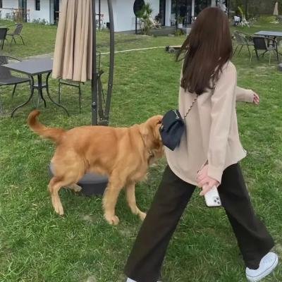 死者的书